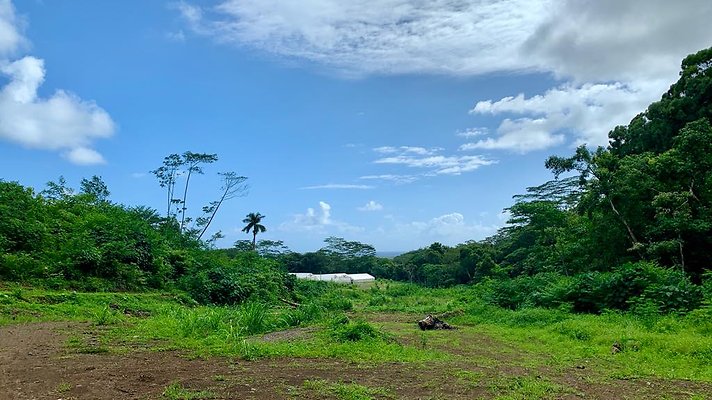 th IMG 5287 th IMG 5287