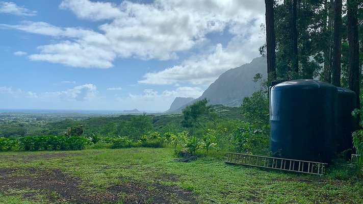 th IMG 5300 th IMG 5300