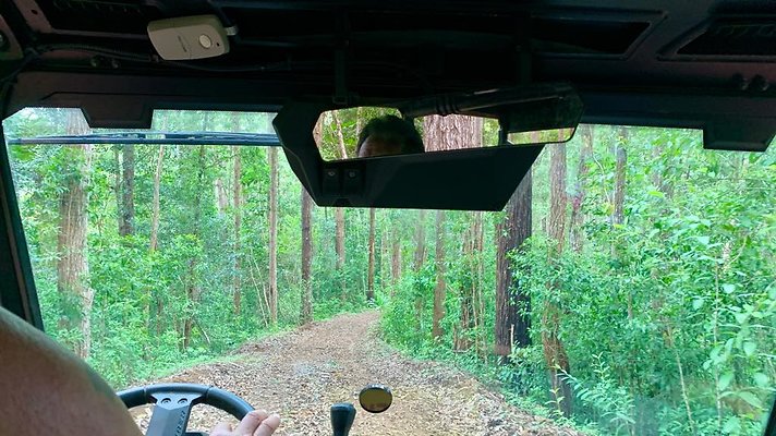 th IMG 5351 th IMG 5351