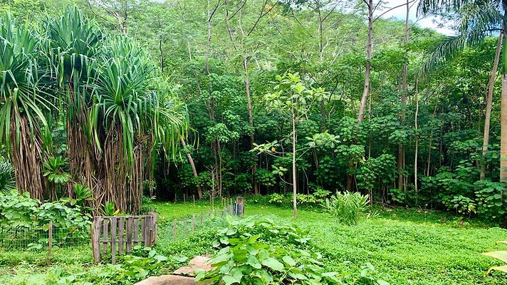 th IMG 5362 th IMG 5362