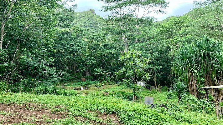 th IMG 5359 th IMG 5359