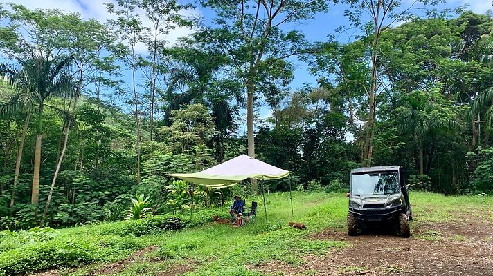 th IMG 5366 th IMG 5366