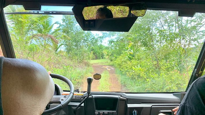 th IMG 5290 th IMG 5290