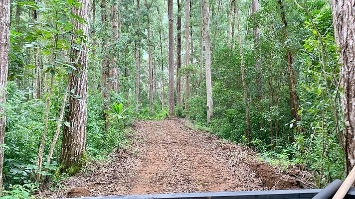 th IMG 5353 th IMG 5353