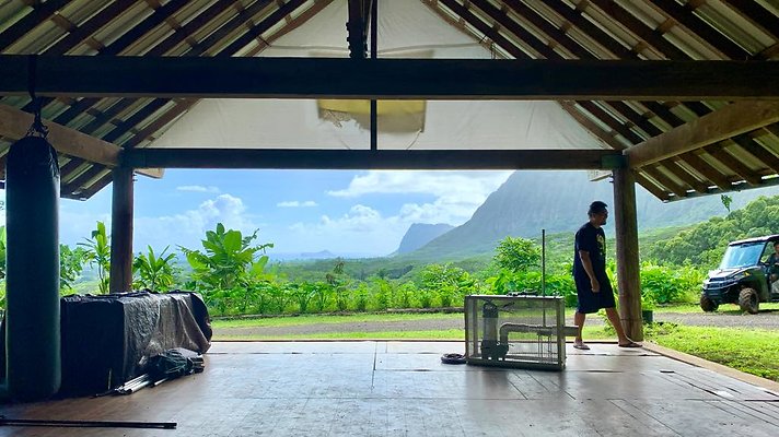 th IMG 5304 th IMG 5304