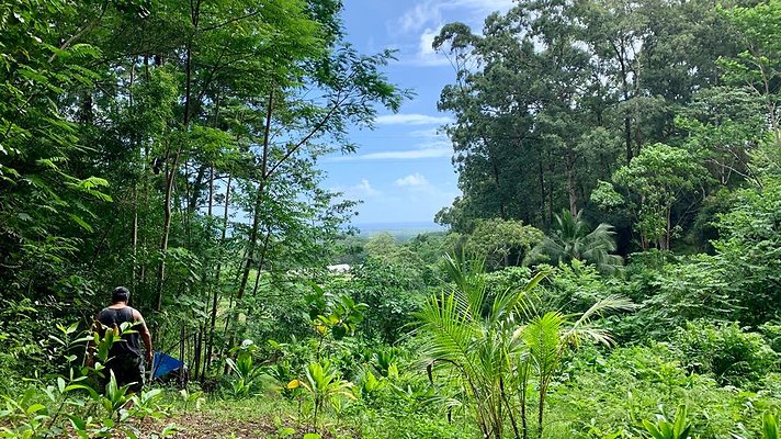 th IMG 5278 th IMG 5278