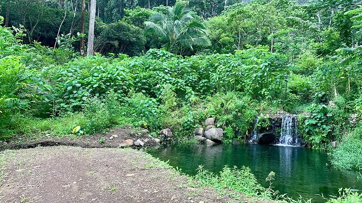 th IMG 5283 th IMG 5283