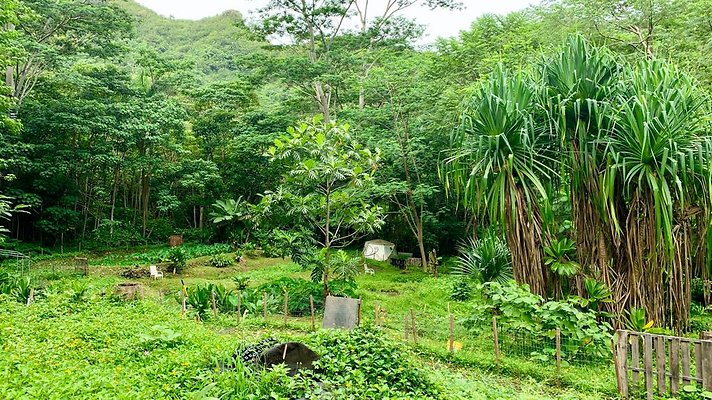 th IMG 5361 th IMG 5361