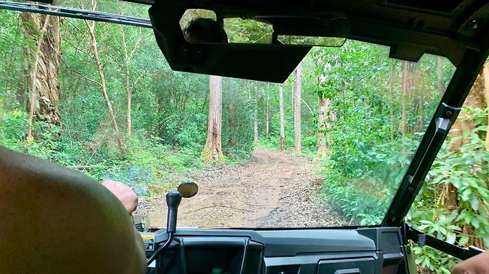 th IMG 5348 th IMG 5348