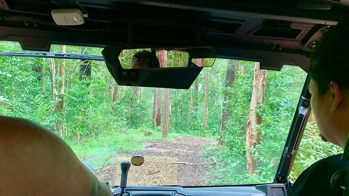 th IMG 5355 th IMG 5355