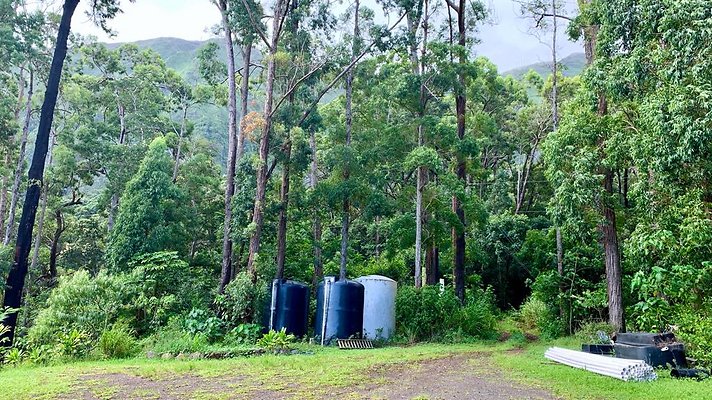 th IMG 5303 th IMG 5303