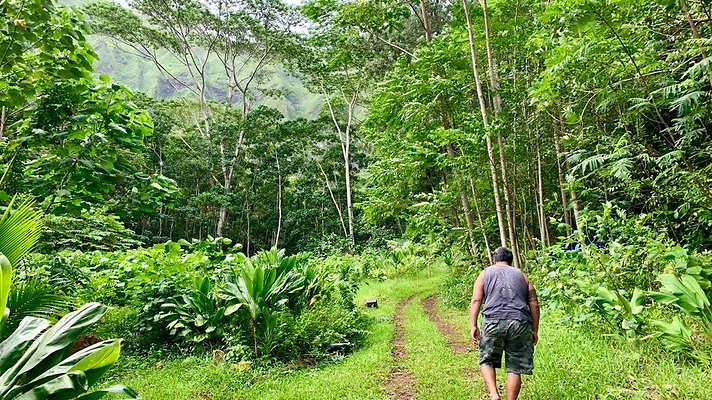 th IMG 5267 th IMG 5267