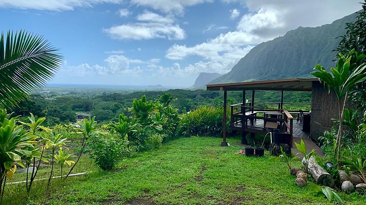 th IMG 5319 th IMG 5319