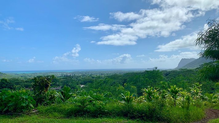 th IMG 5299 th IMG 5299