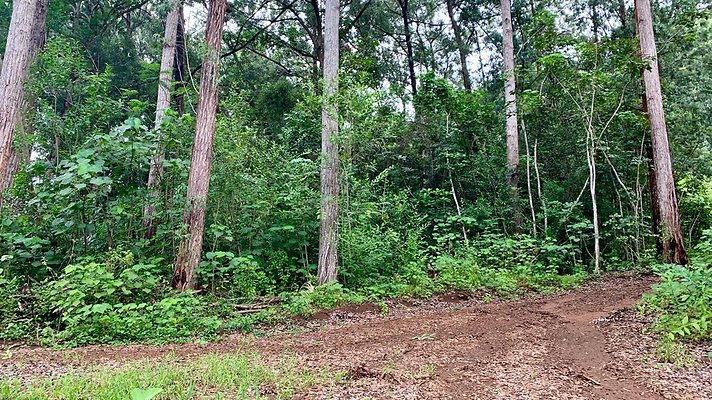 th IMG 5369 th IMG 5369