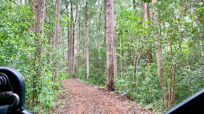 th IMG 5354 th IMG 5354