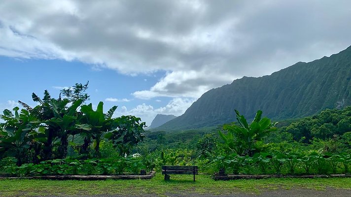 th IMG 5311 th IMG 5311