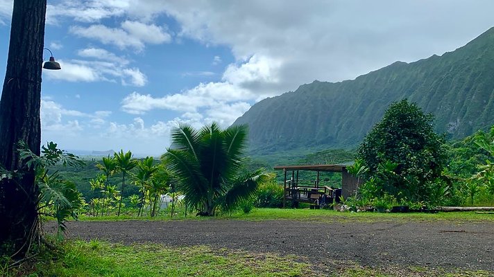 th IMG 5318 th IMG 5318