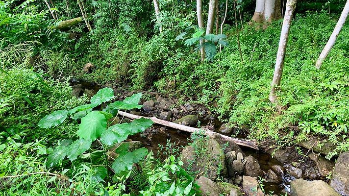 th IMG 5271 th IMG 5271