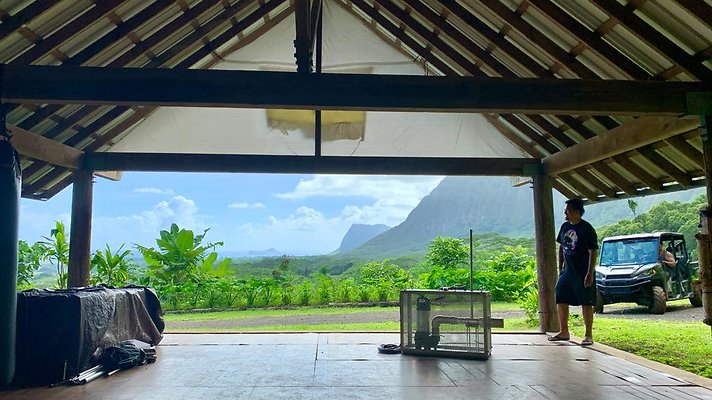 th IMG 5305 th IMG 5305