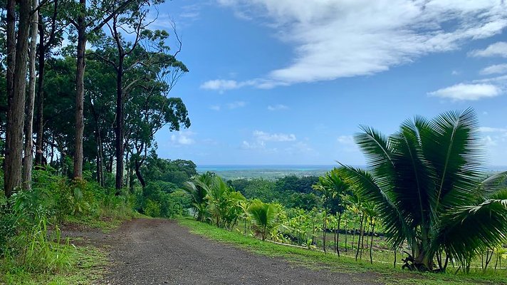 th IMG 5317 th IMG 5317