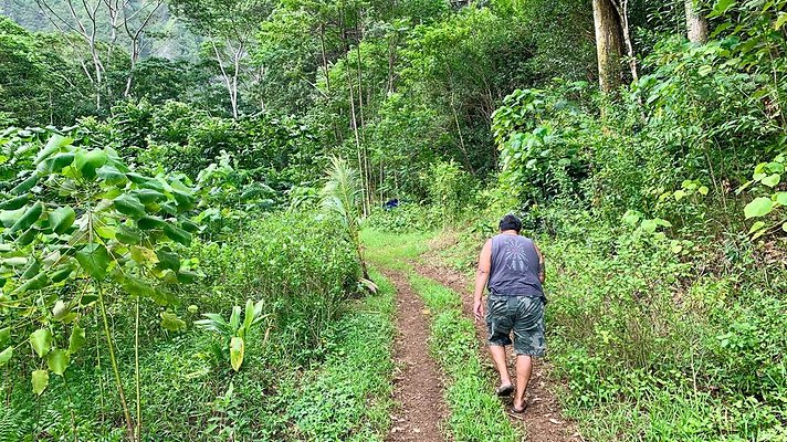 th IMG 5264 th IMG 5264