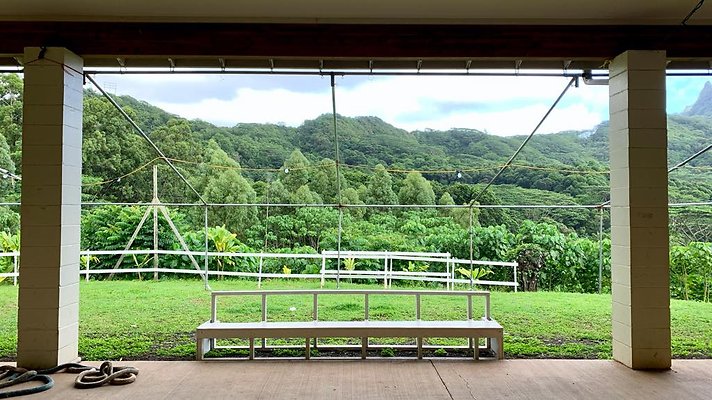 th IMG 5223 th IMG 5223