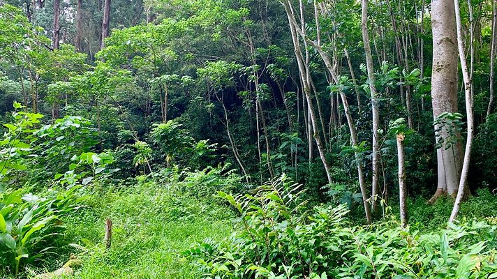 th IMG 5275 th IMG 5275