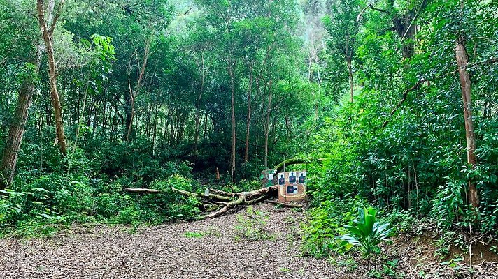 th IMG 5349 th IMG 5349