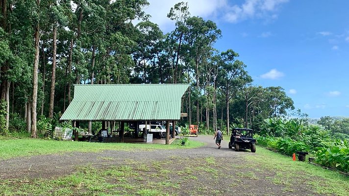 th IMG 5297 th IMG 5297