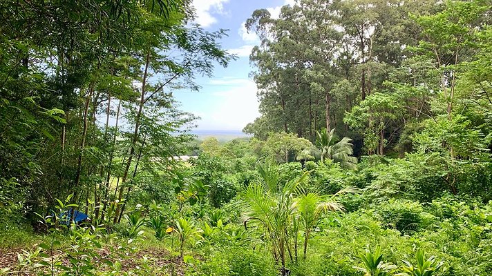 th IMG 5270 th IMG 5270