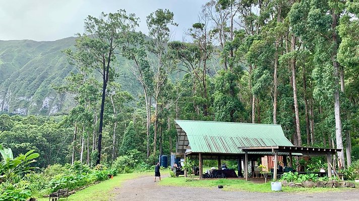 th IMG 5316 th IMG 5316