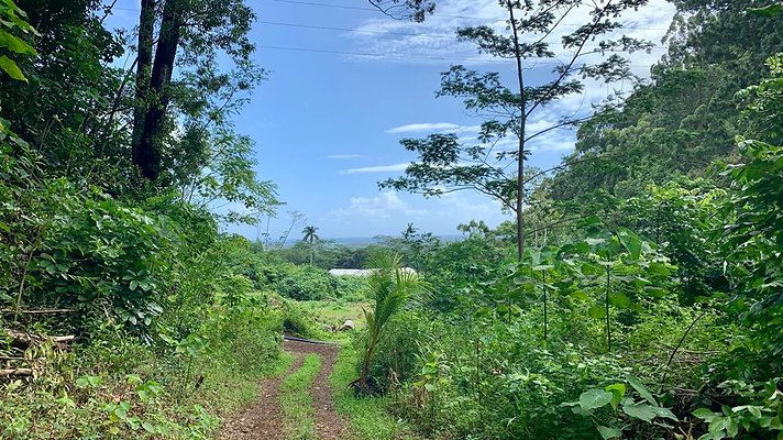 th IMG 5280 th IMG 5280