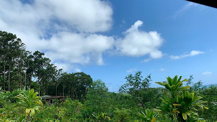 th IMG 5294 th IMG 5294