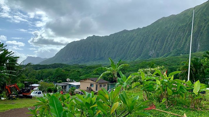 th IMG 5235 th IMG 5235