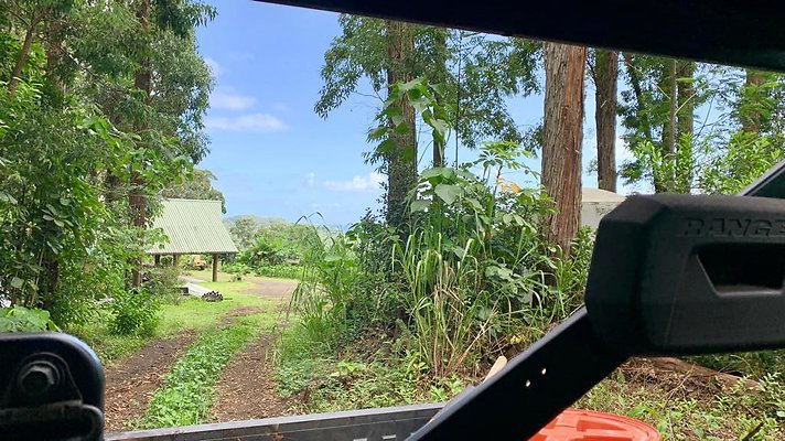 th IMG 5339 th IMG 5339