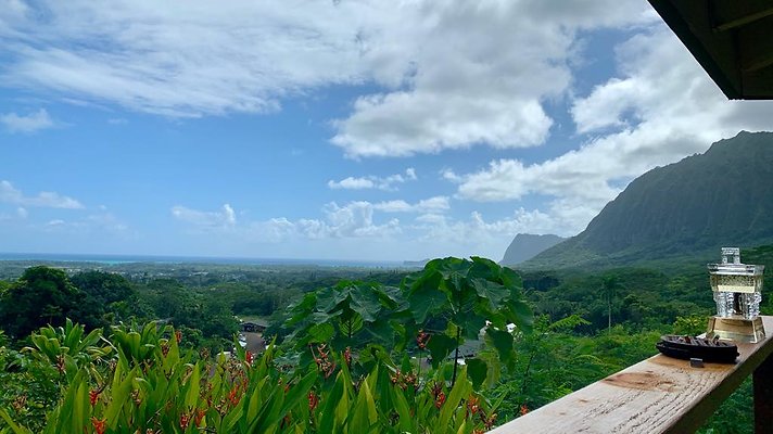 th IMG 5324 th IMG 5324