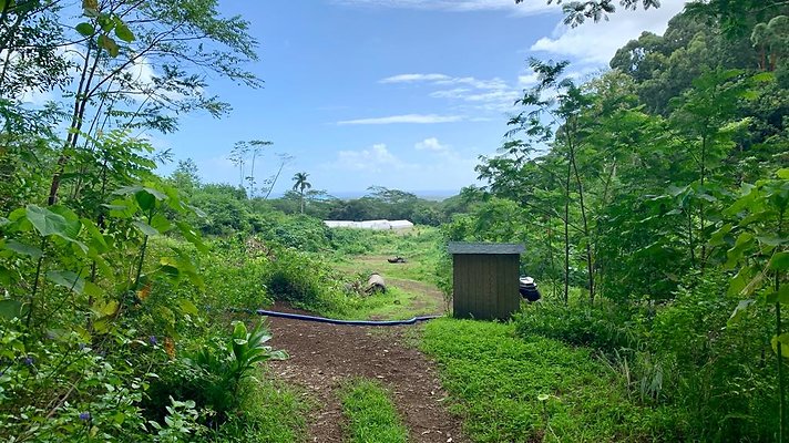 th IMG 5282 th IMG 5282