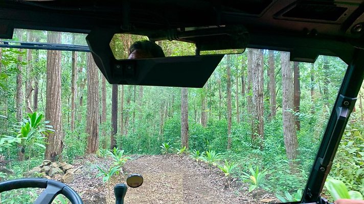 th IMG 5350 th IMG 5350