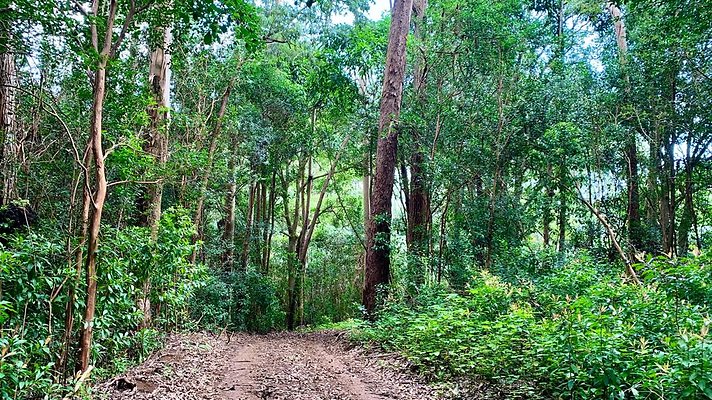 th IMG 5346 th IMG 5346