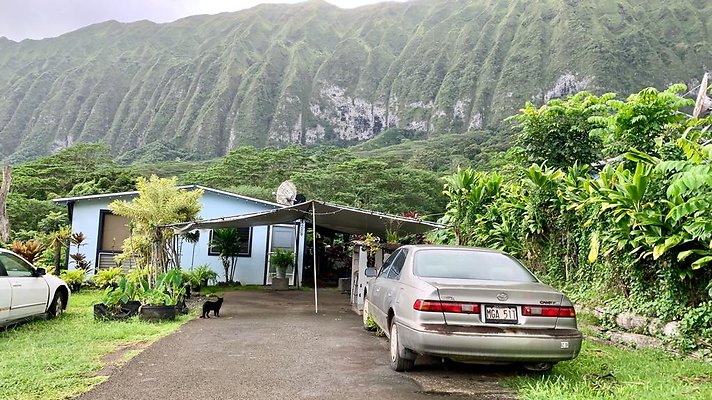 th IMG 5245 th IMG 5245