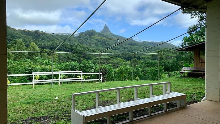 th IMG 5225 th IMG 5225