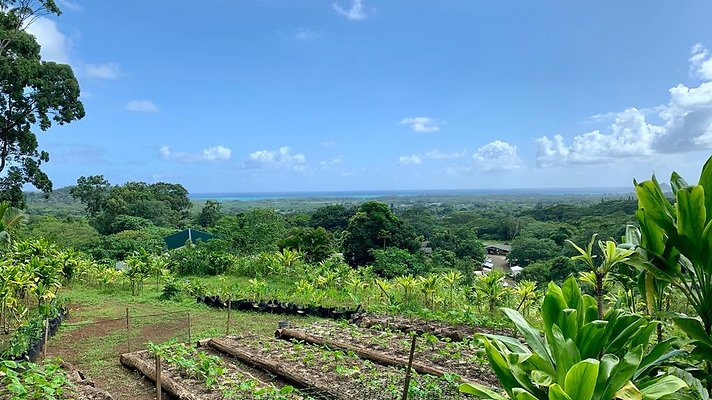 th IMG 5333 th IMG 5333