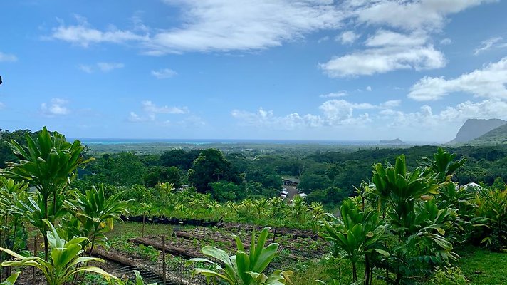 th IMG 5320 th IMG 5320