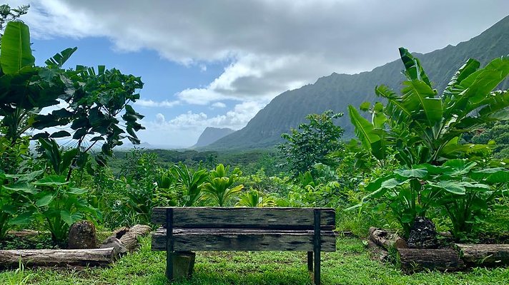 th IMG 5312 th IMG 5312