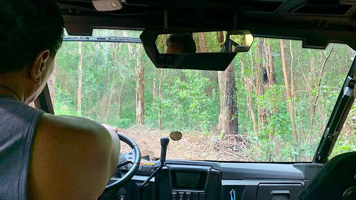 th IMG 5345 th IMG 5345