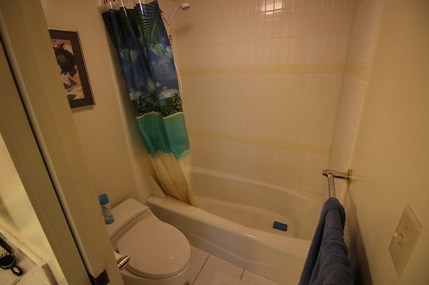 th IMG 6373 th IMG 6373