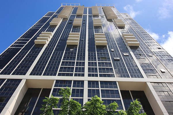 Kakaako Keola Lai 600 Queen Herb Kakaako Keola Lai 600 Queen Herb