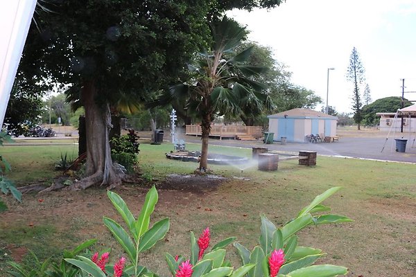 th IMG 0123 th IMG 0123