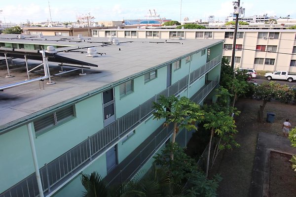 th IMG 1800 th IMG 1800